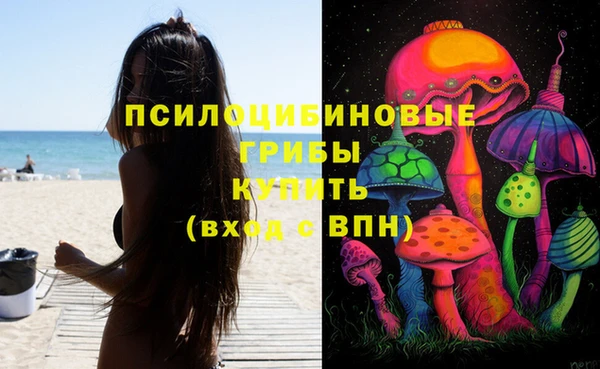 прущая мука Медвежьегорск